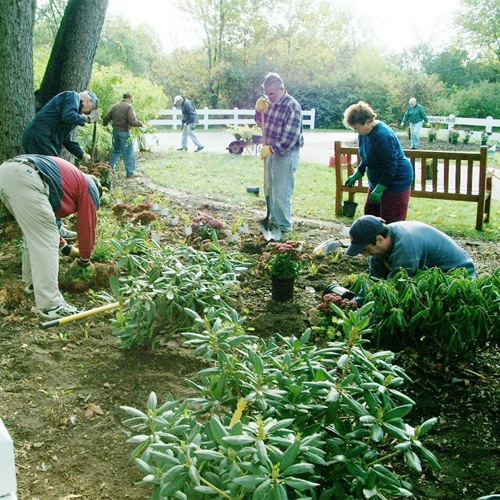 Volunteer Application WebGraphic 700x700.jpg